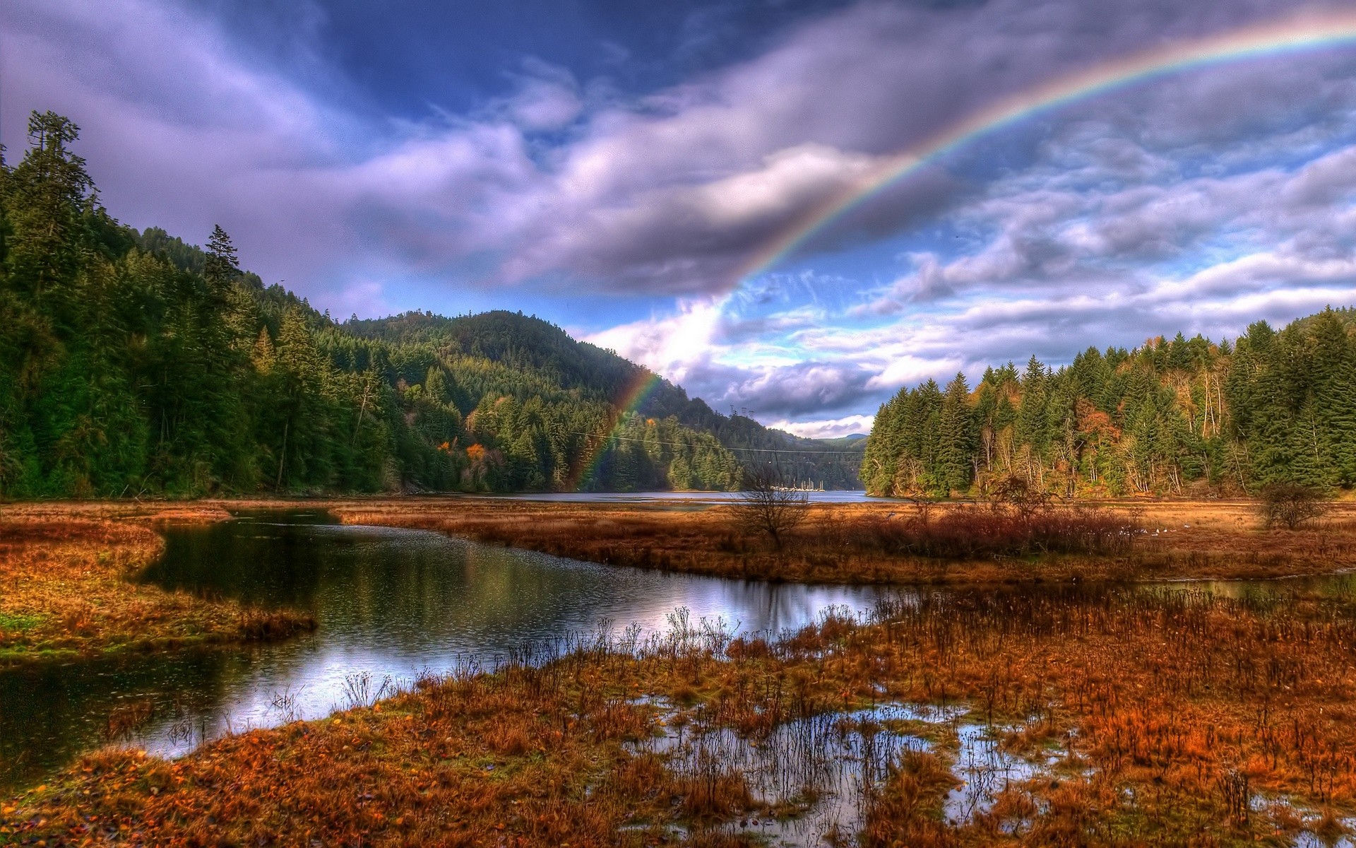 bosque arco iris nubes