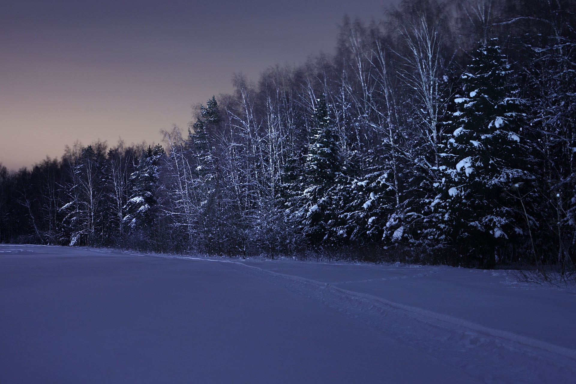 notte inverno neve foresta