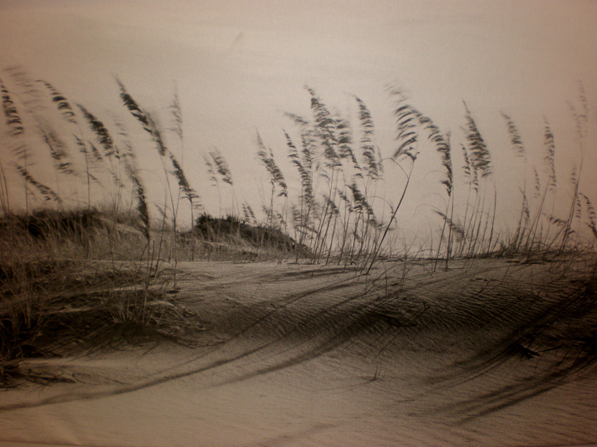 gras sand sepia