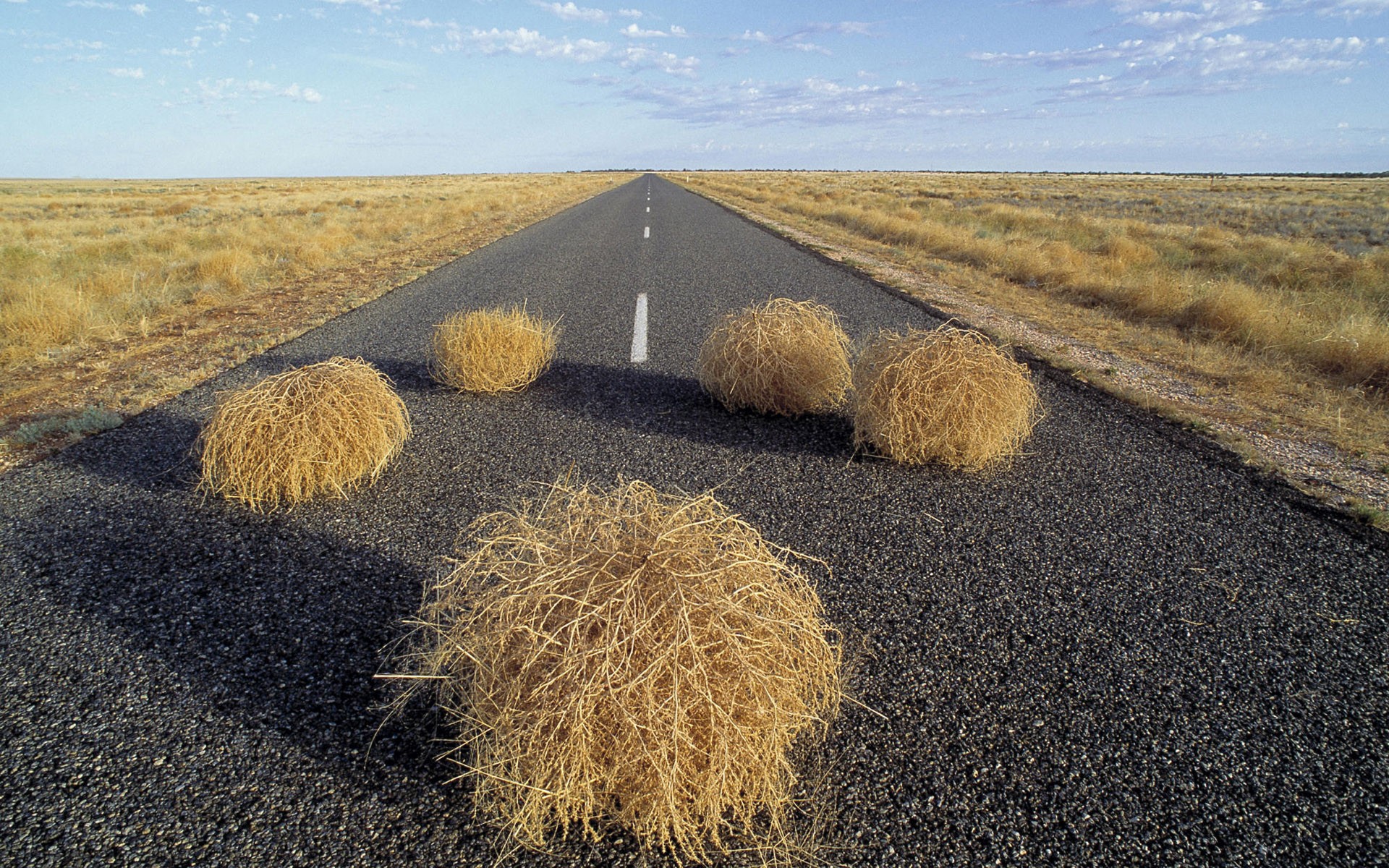 straße roll das feld der himmel