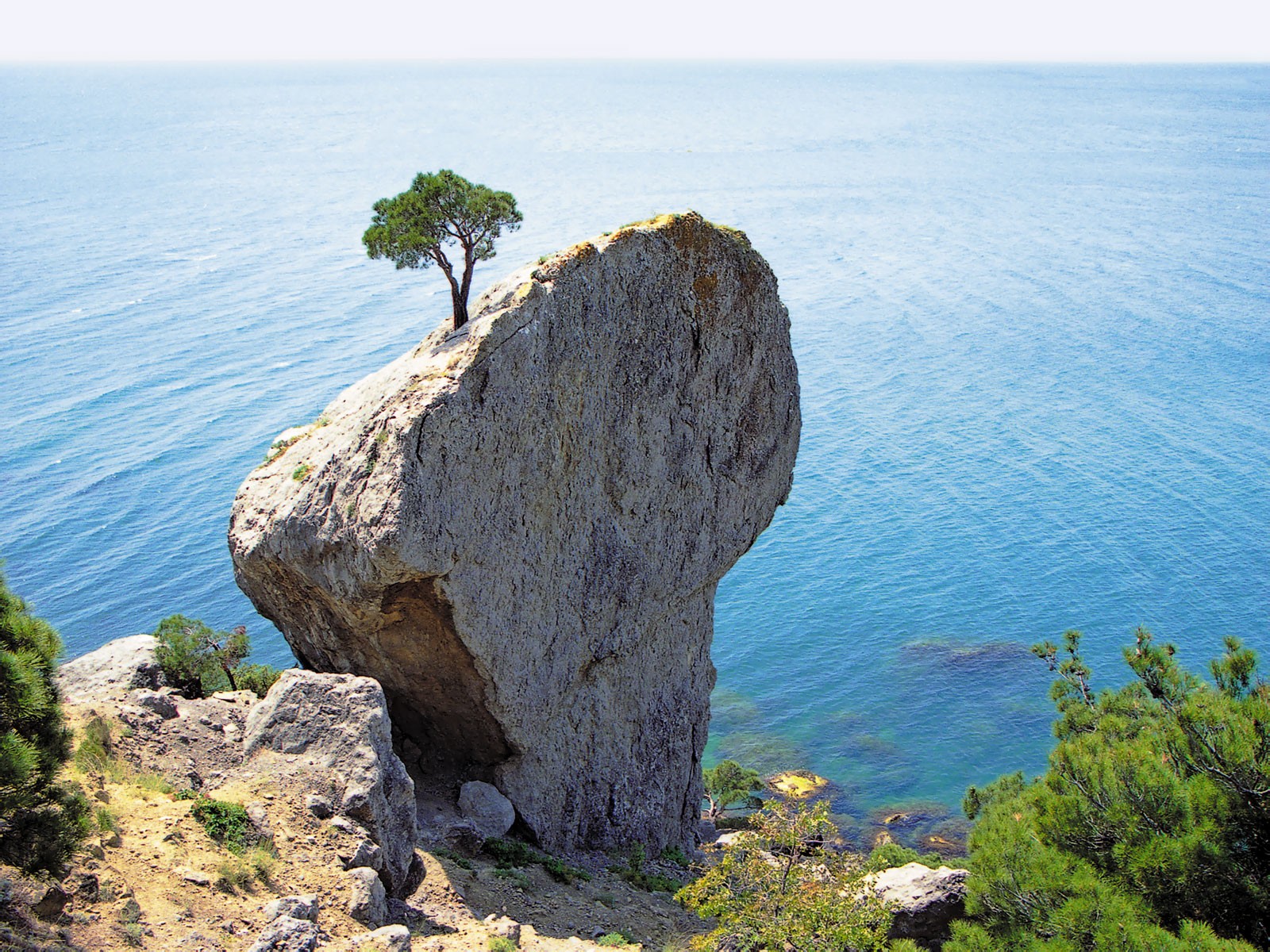 crimea estate mar nero roccia acqua legno