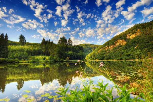 Paysage avec de beaux nuages blancs