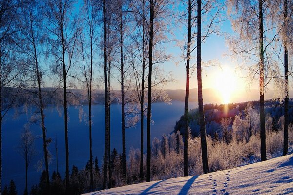 Зимнее солнце. Река в снегу