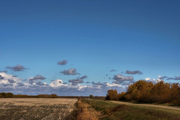 Nuages flottants sur le champ