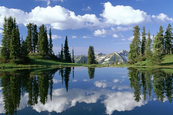 Reflejo del cielo y los árboles en el lago