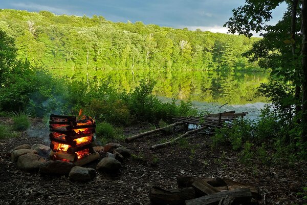 Accogliente falò su un picnic nella foresta vicino al lago