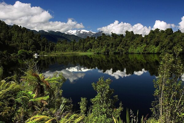 Nubes sobre el lago del bosque