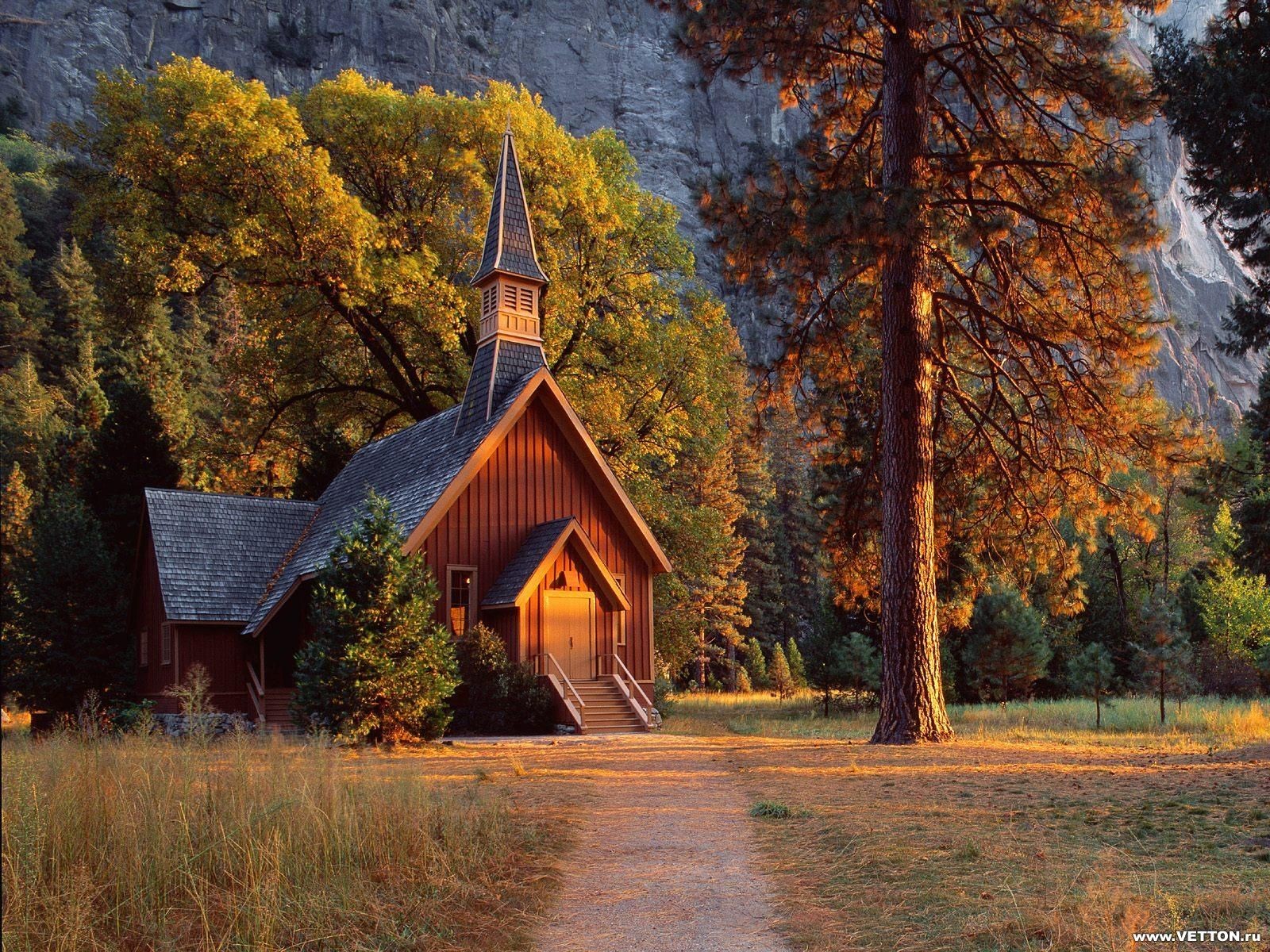 chiesa foresta sera