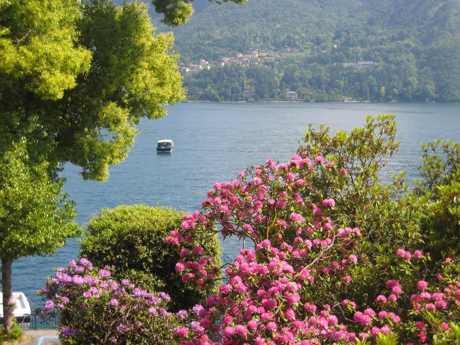 fleurs arbres bateau nature eau loin maisons