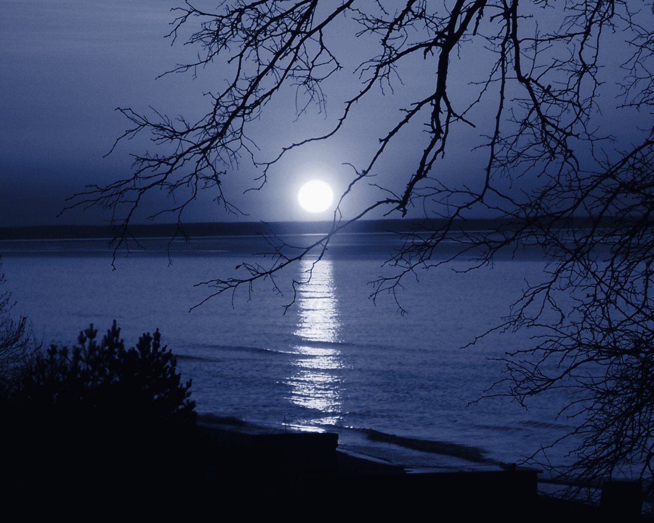 Золотою луна распласталась на тихой воде. Иллюстрация к стихотворению Фета еще Майская ночь. Рисунок к стихотворению Фета еще Майская ночь. Лунная ночь. Река ночью.