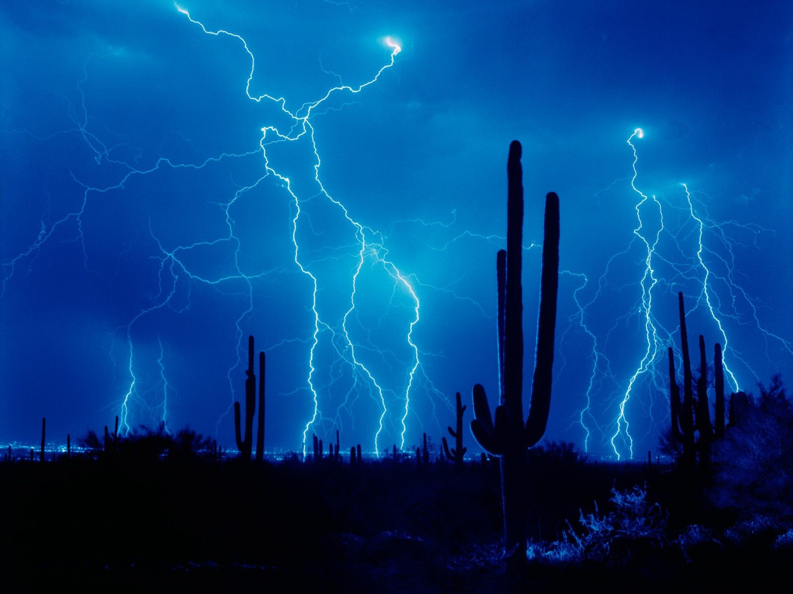 wüste blitze kakteen nacht gewitter wolken