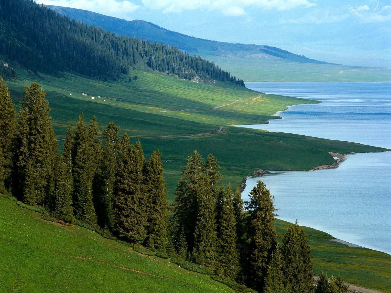 nature beach summer baikal