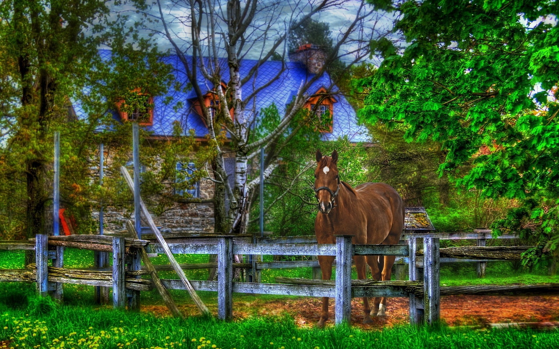 green tree house horse fence