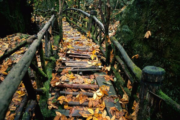 Baufälliges Geländer im Herbstwald