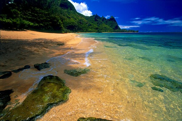 Golden sand and green mountains on the shore