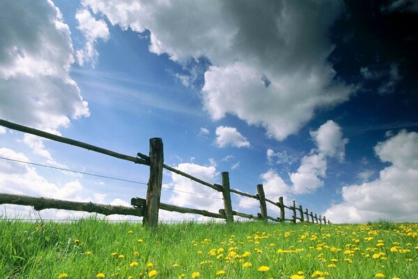 Behind this fence, the sheep pasture begins