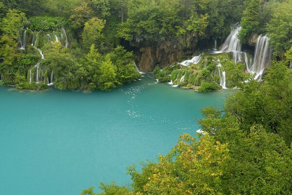 Lago Blu circondato da alberi verdi