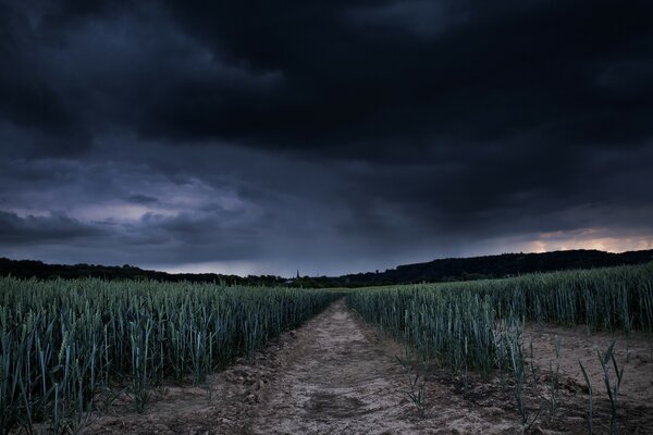 Naturaleza antes de la tormenta. Algo vendrá pronto