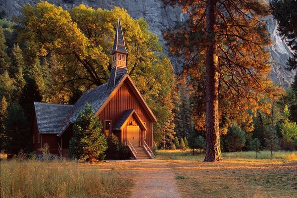 Forest church in the sunset