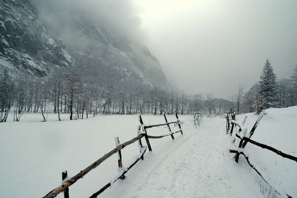 Libertà innevata. Strada invernale