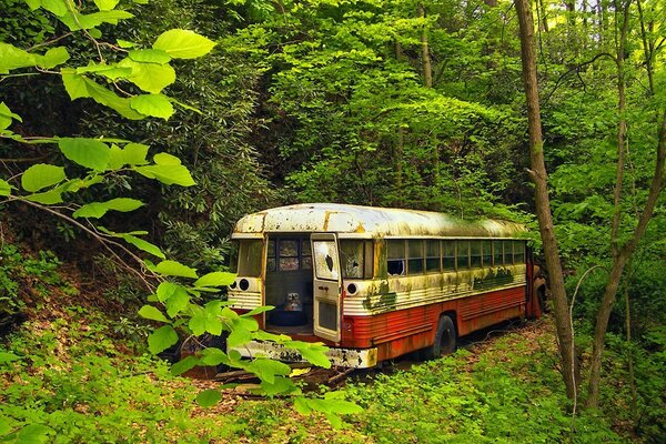 Eine alte Geschichte. Entführung durch den Wald