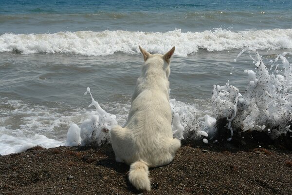 Moscow beach. A look at the horizon