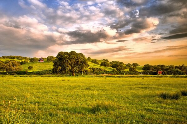 Una vista Serena de la pradera verde