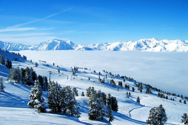 Image of winter forest and mountains