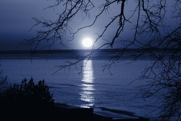 Full moon on the sea coast