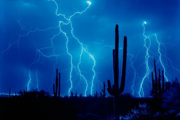 Ein Gewitter in der Wüste, das das nächtliche Spektakel überflutet