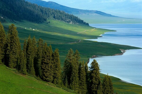 Naturaleza de la orilla del lago Baikal
