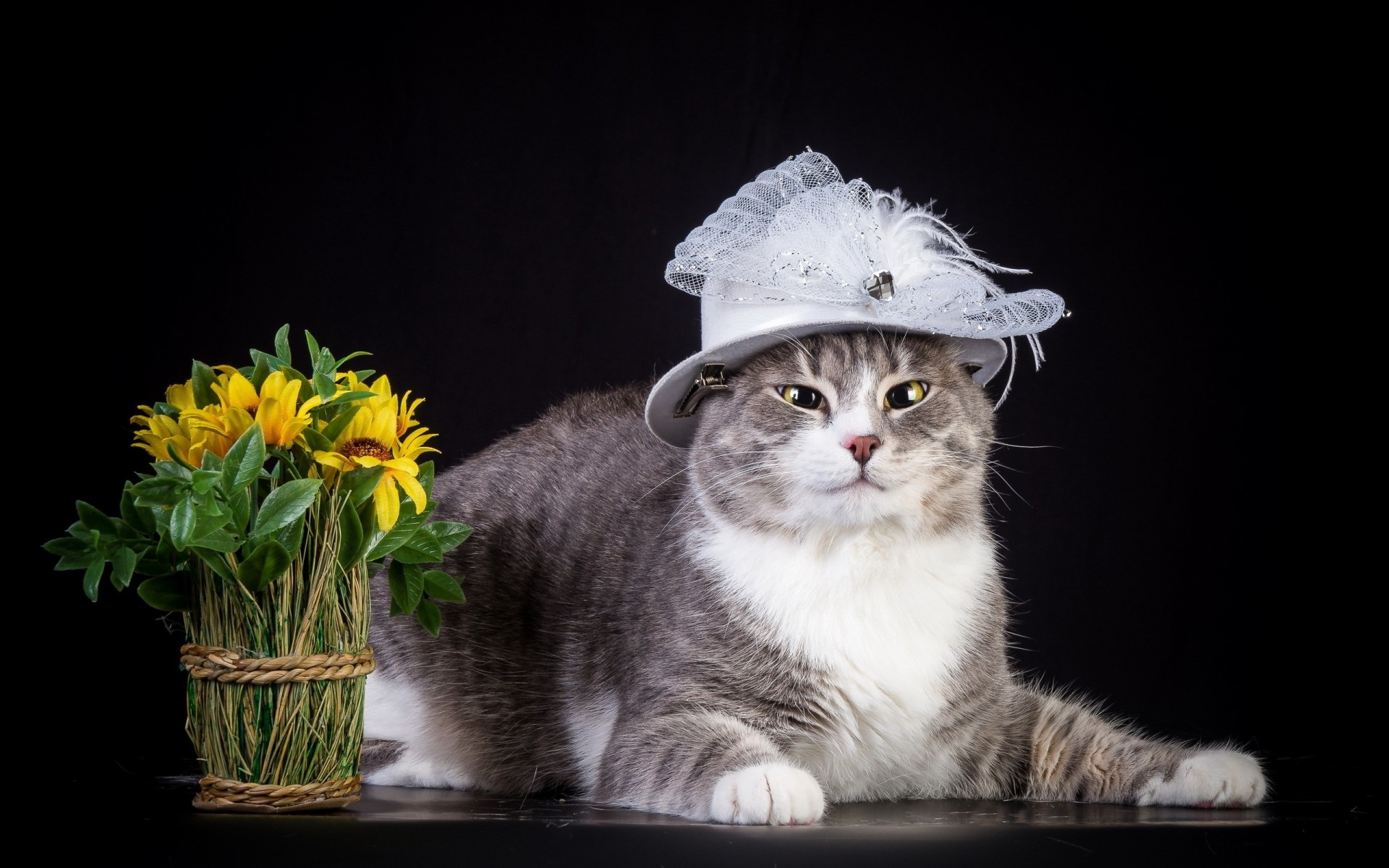 hut katze blumen