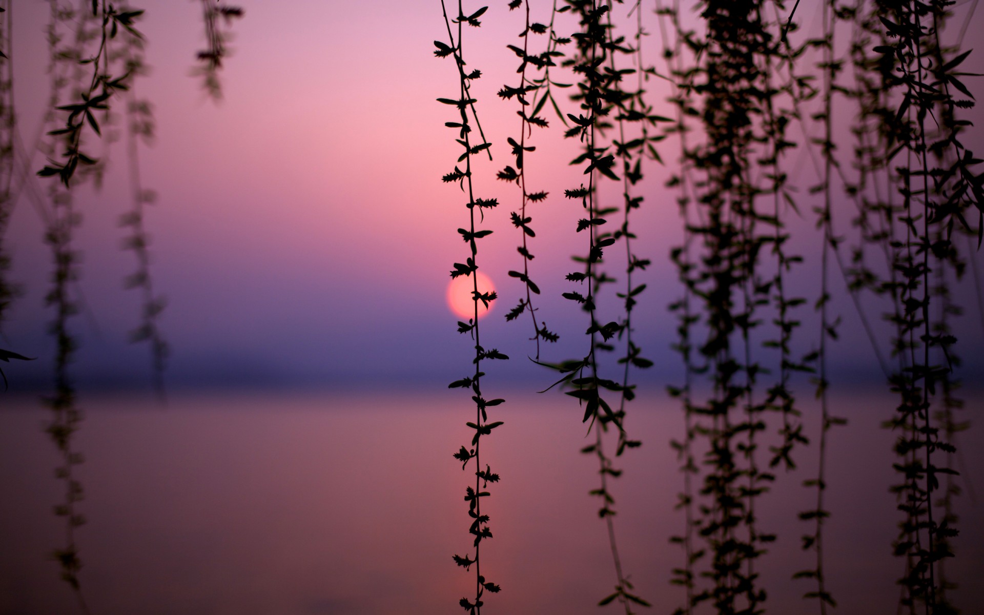 china see sonnenuntergang