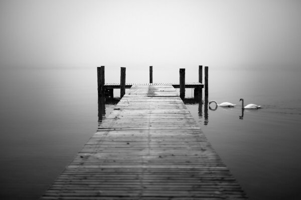 Monochrome photo of a bridge and a lake with a pair of swans