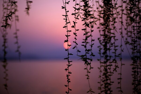 Beautiful lake at sunset