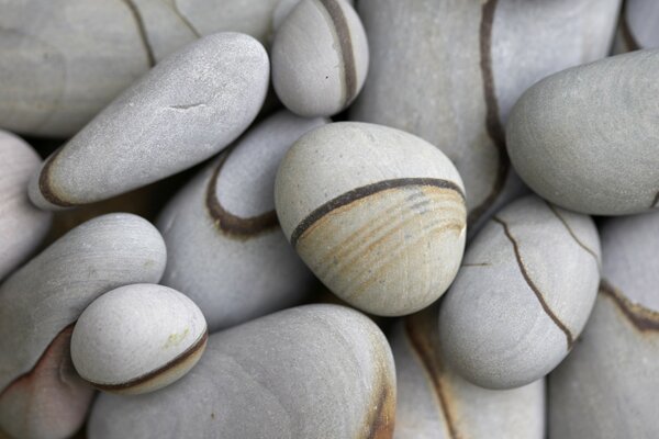 Graue Steine, ähnlich wie Schnecken