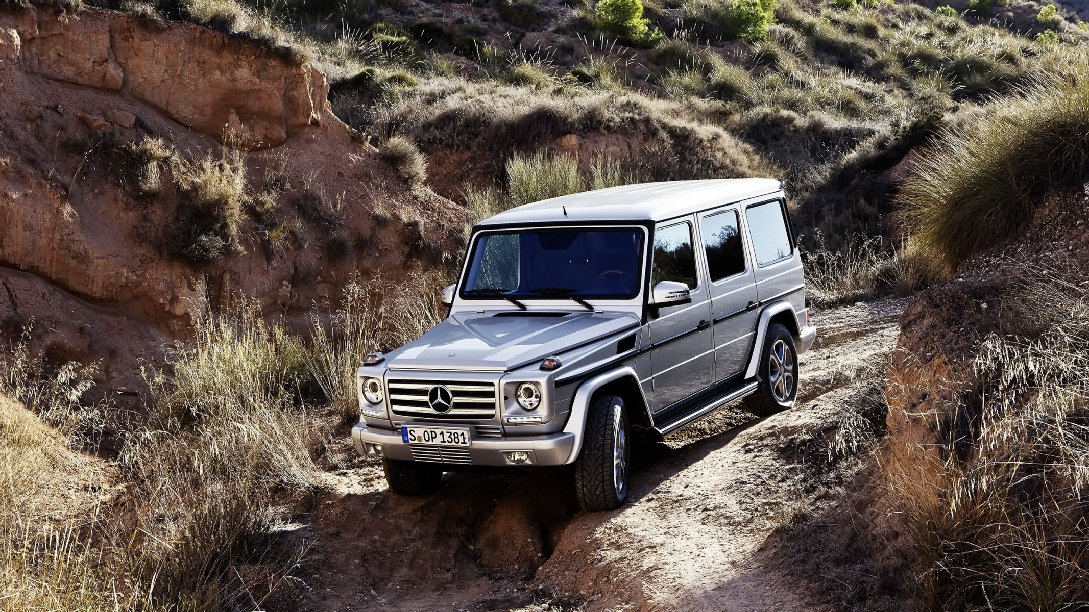 mercedes-benz g55 g-class gelika gelding