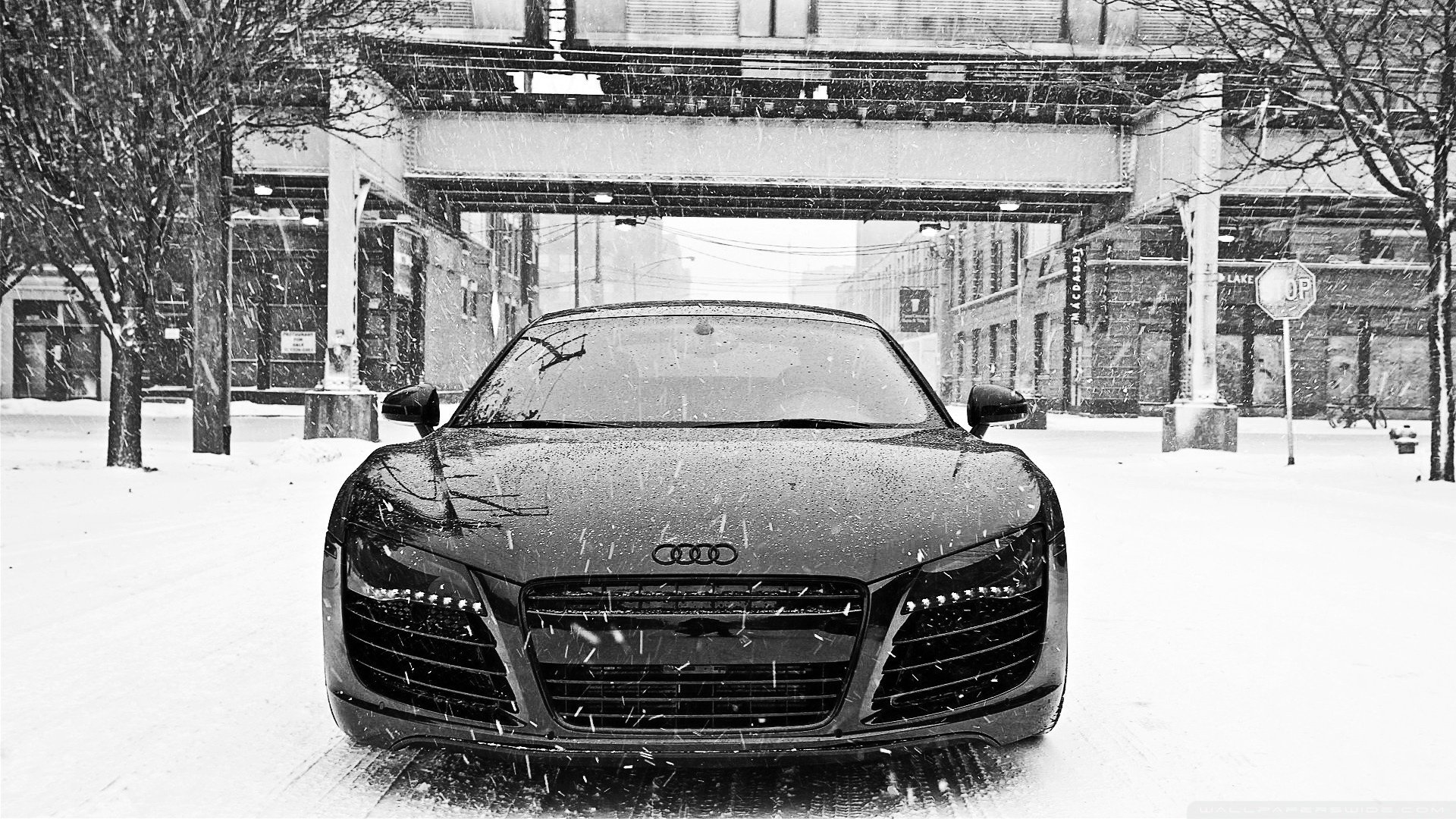 audi r8 audi r8 nieve