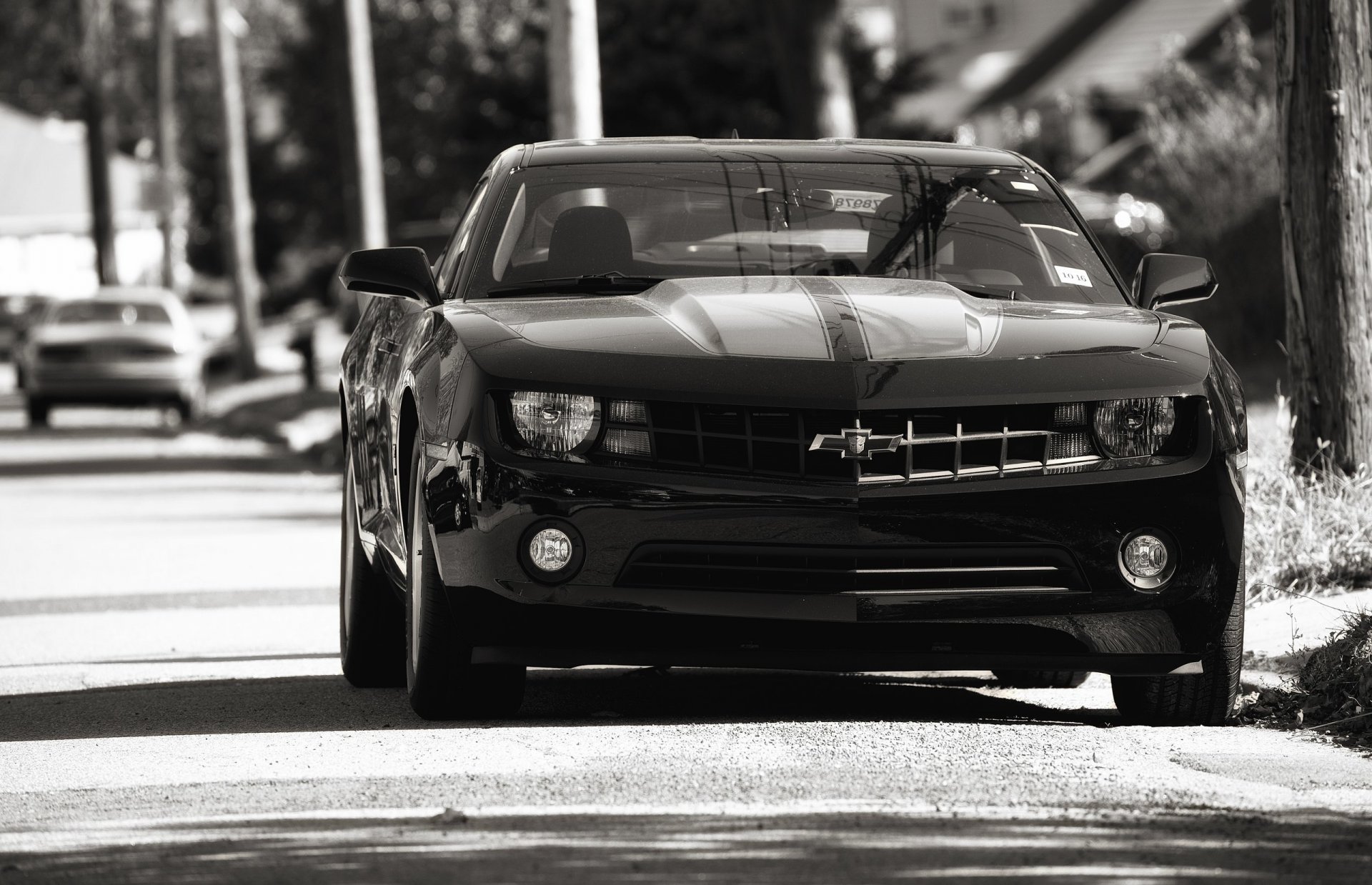 chevrolet camaro ss chevrolet camaro czarny auto