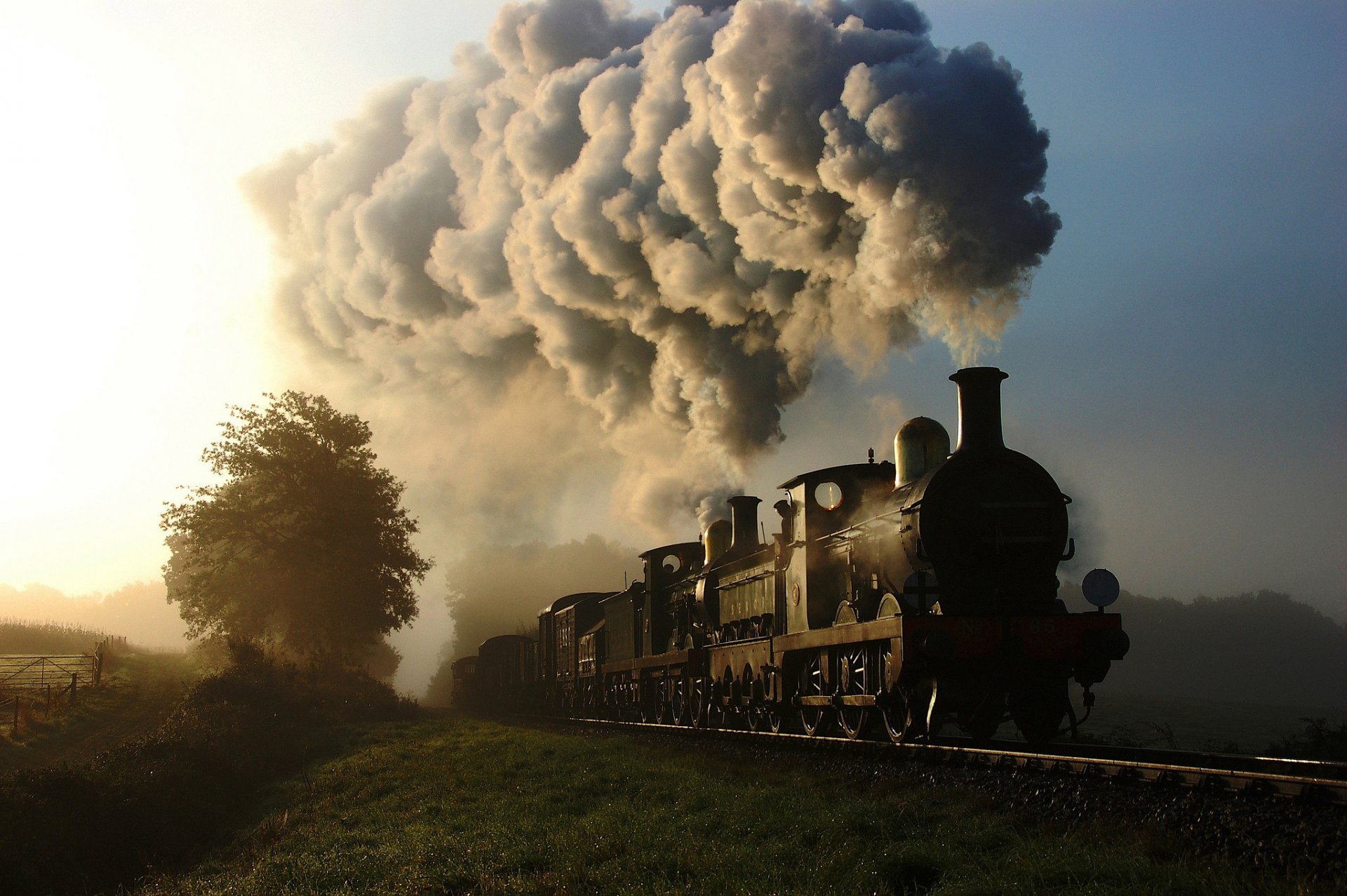 train locomotive à vapeur fumée wagons chemin de fer nature