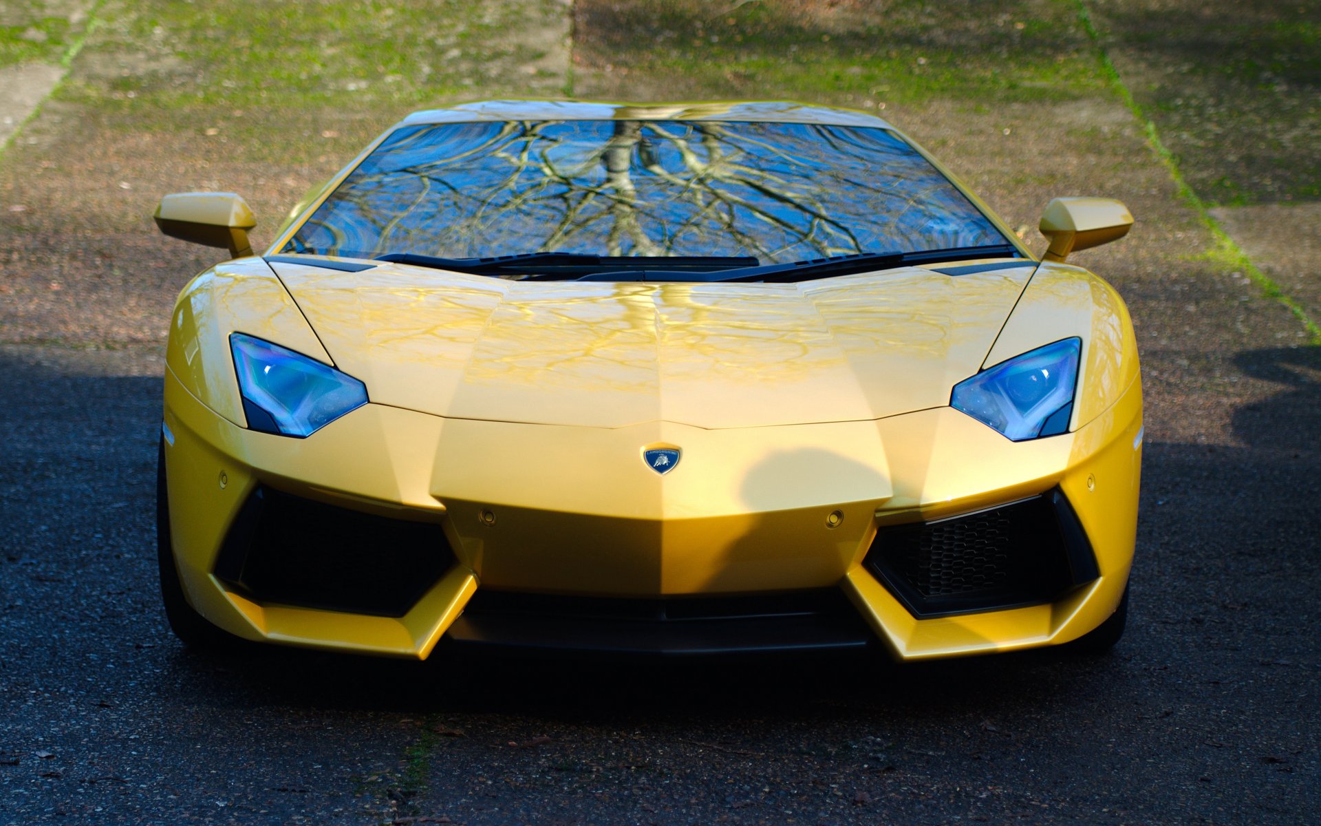 lamborghini aventador lp700-4 żółty lamborghini aventador przód odbicie cień