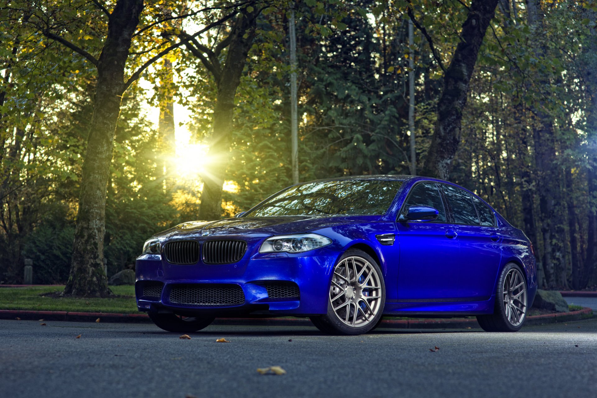 bmw m5 f10 монте-карло синий бмв синий солнце блик деревья