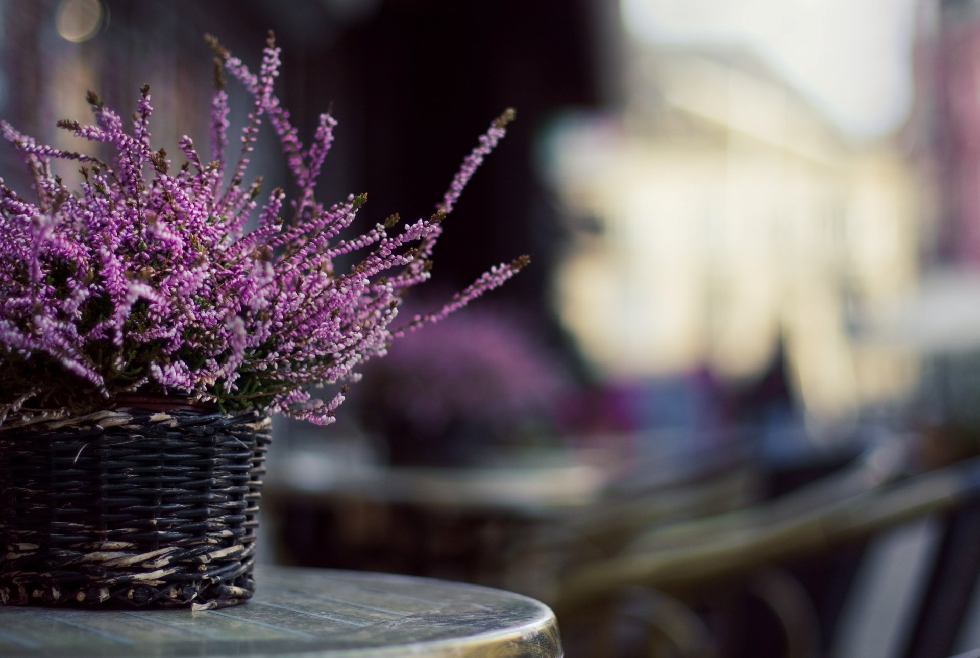 foto schüssel unschärfe wicker korb tisch