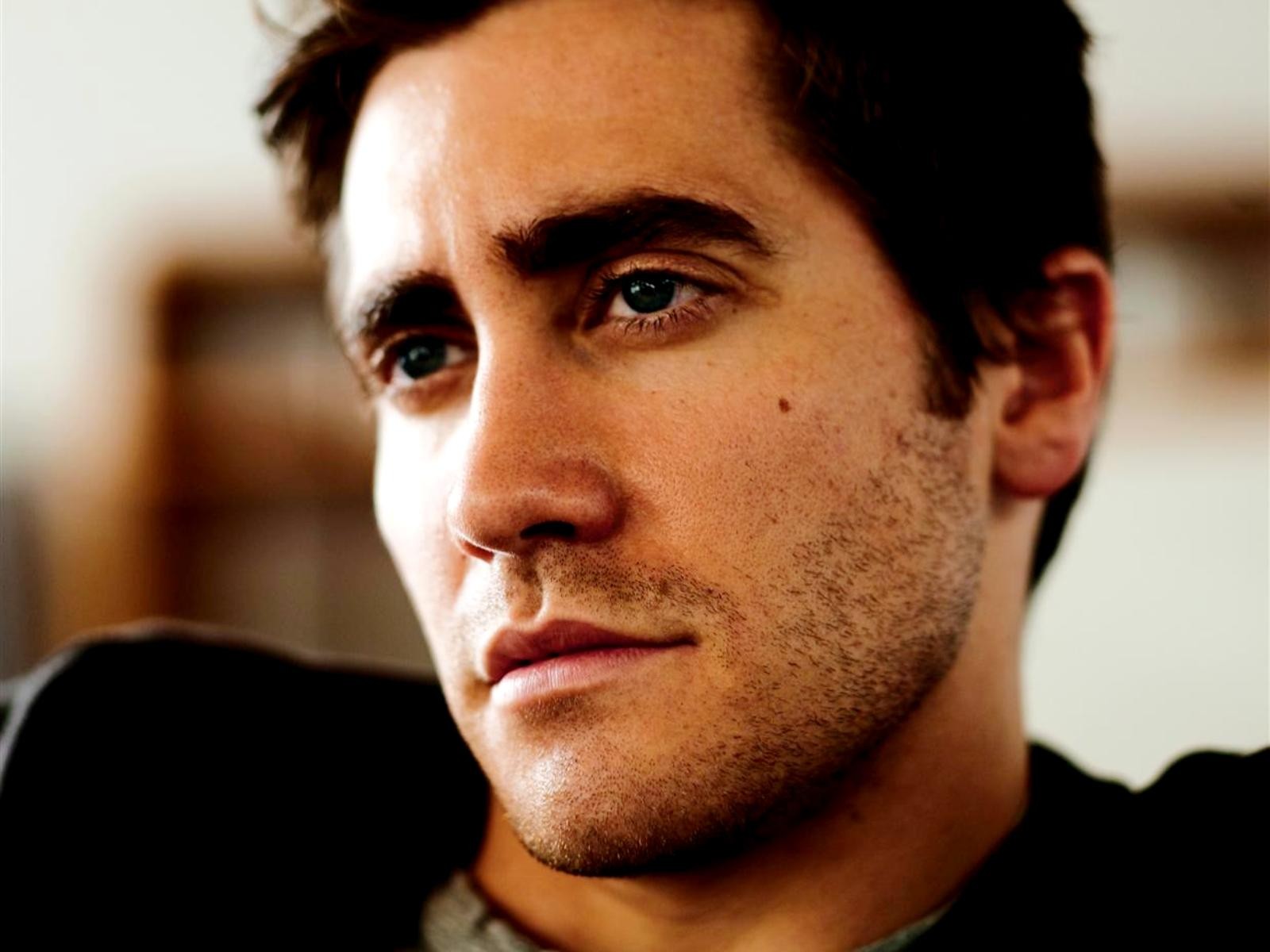 jake gyllenhaal homme acteur visage poils