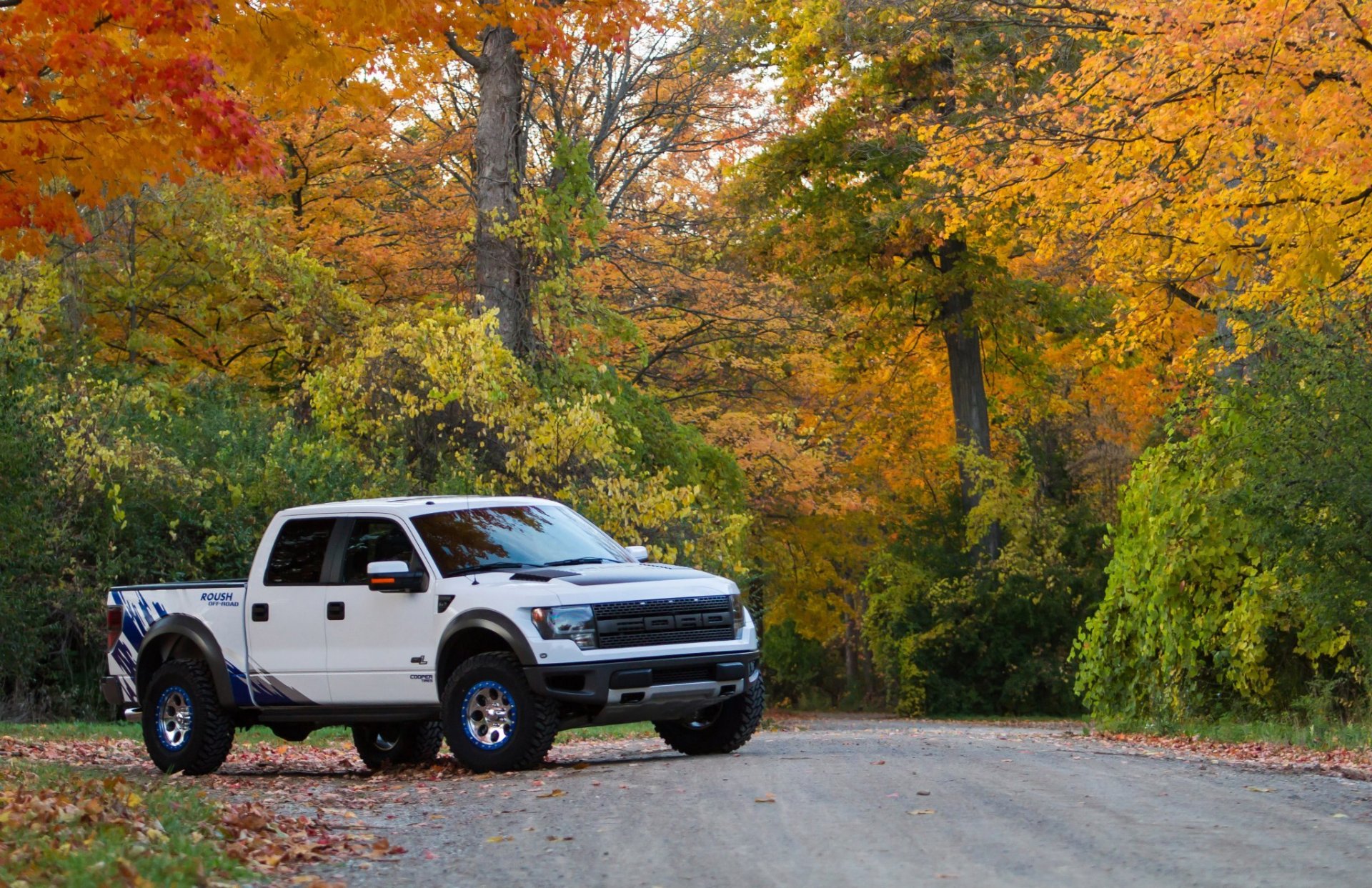 roush ford f-150 svt raptor machine tree wallpaper car