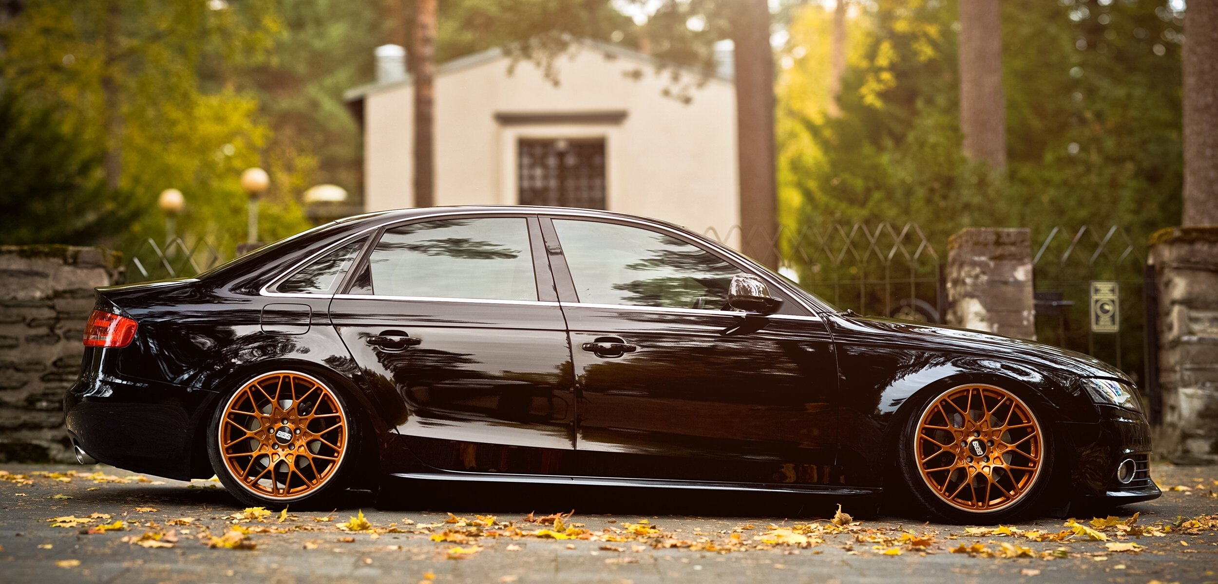 audi a4 b8 autumn leave