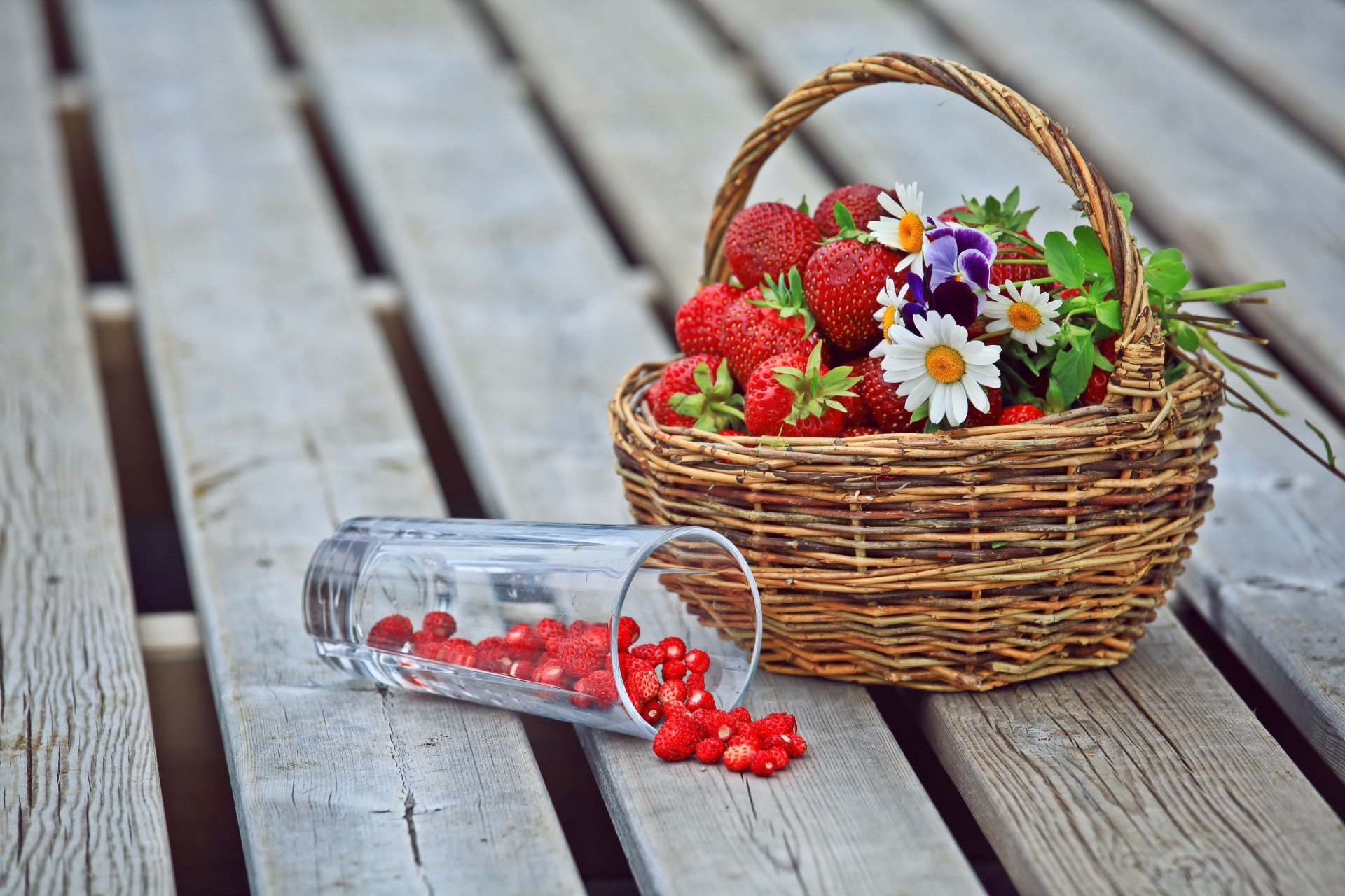 viole del pensiero fragole margherite bacche fiori shopping vetro