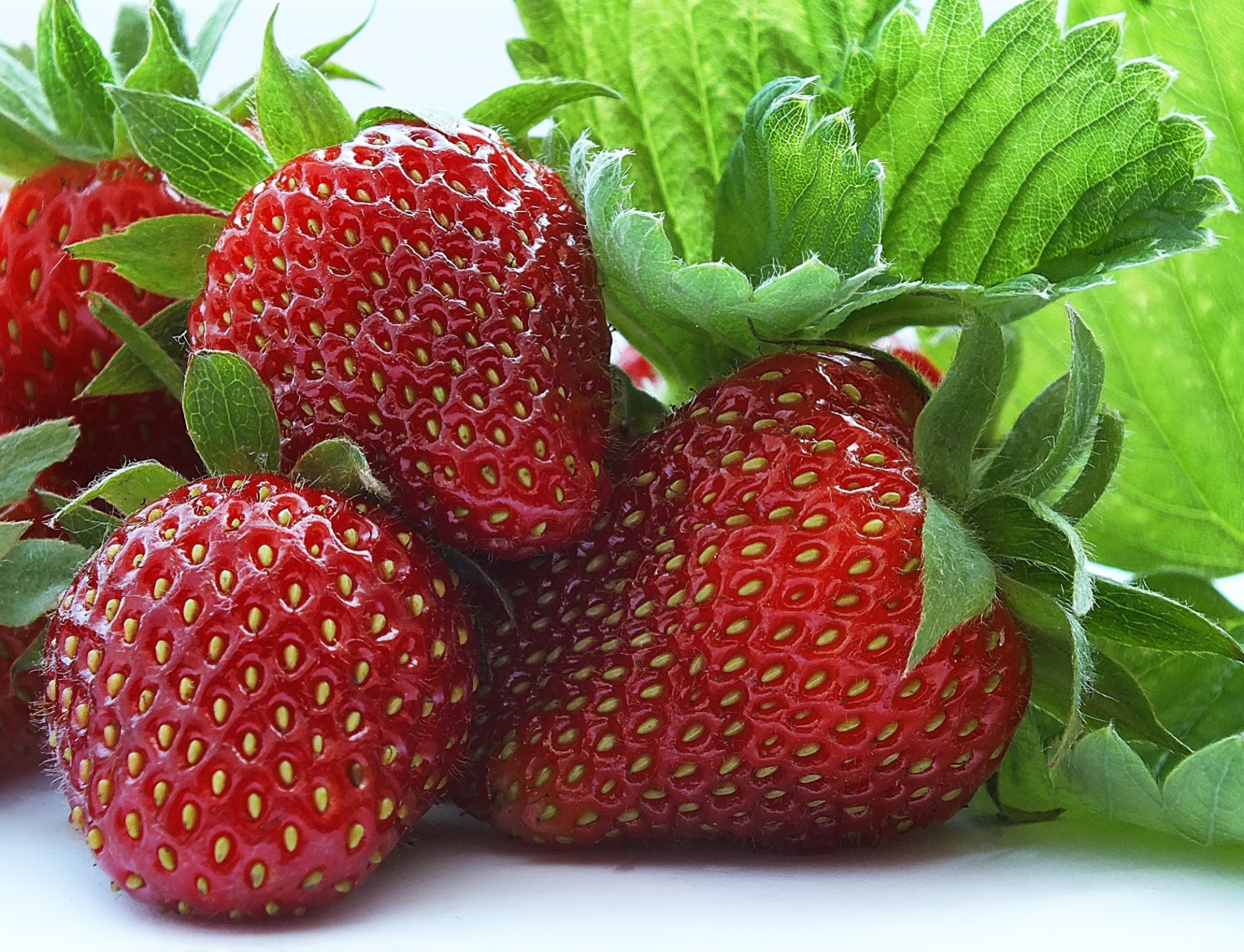 close up berries strawberry