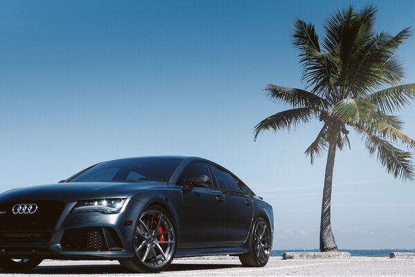 Parking de luxe Audi sur fond de ciel bleu et palmiers