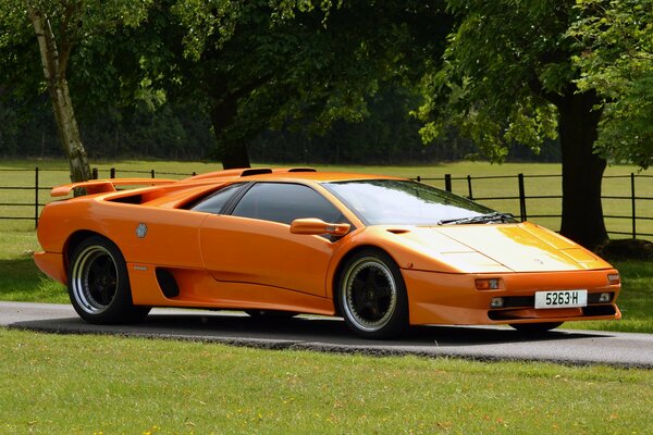 Pomarańczowy lamborghini diablo wśród natury i drzew